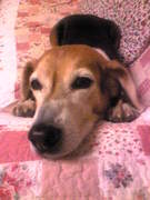 Image002~00.jpg
