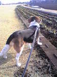 Image067~00.jpg