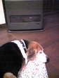 Image017~00.jpg